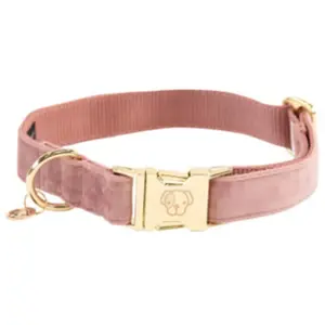 Collier pour chien Kentucky Dogwear Halsband "Velvet" - O... XL pas cher