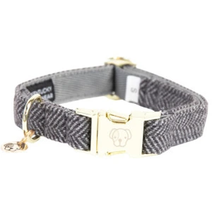Collier pour chien Kentucky Wool Gris M 42632-08-M pas cher