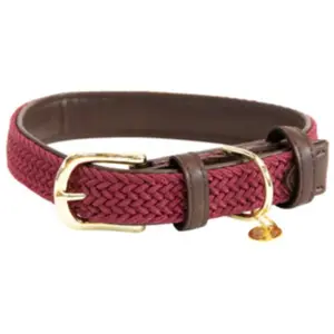 Collier pour chien en nylon tressé Kentucky Rouge 2XS 42517-17-XXS pas cher