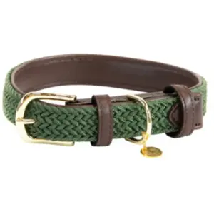 Collier pour chien en nylon tressé Kentucky Vert 2XS 42517-74-XXS pas cher