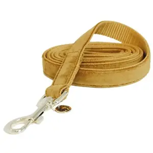 Comparateur de prix : Laisse pour chien Kentucky Velvet TU