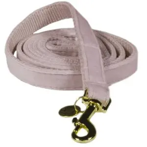 Kentucky Laisse Pour Chien Velvet 15 Mm pas cher