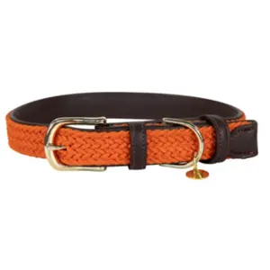 Comparateur de prix : Collier pour chien en nylon tressé Kentucky Orange XL 42517-45-XL