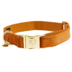 Kentucky Dogwear - Collier pour Chien en Velours - Orange - Taille XL - 45-75cm pas cher