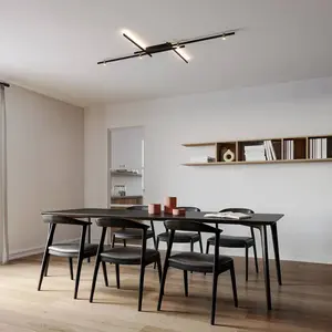 Wever & Ducré Lighting WEVER & DUCRÉ ampoule LED Trace Grid 2.0 noir/b...Vendu parluminaire
