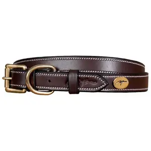 Dyon Collier pour chien cuir plat Dy’on Marron M DC31ABR50 pas cher
