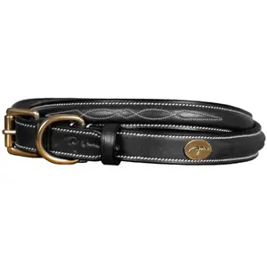 Collier pour chien avec surpiqure décorative Dy’on Noir S DC31BBL45