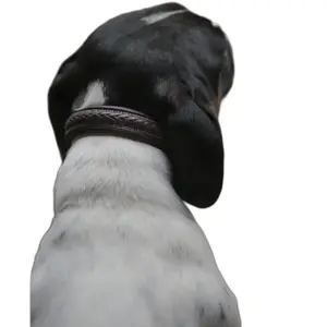 Dyon Collier De Chien Plaited pas cher
