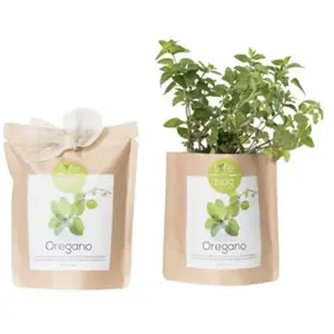 Life In A Bag - Kit bio prêt à pousser Origan pas cher