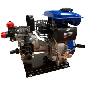 Bricoferr - Groupe de pulvérisation avec moteur à essence 80CC 2,5hp 4... pas cher