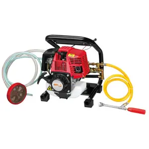 Bricoferr - Pulvérisateur avec moteur 4 temps, tuyau et lance pas cher