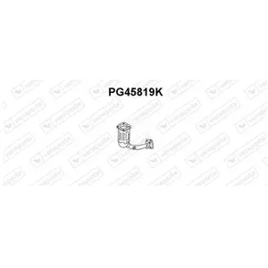 VENEPORTE S.A. Catalyseur pour PEUGEOT: 206, 206+ (Ref: PG45819K) pas cher