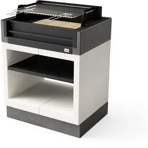Tuozi - Barbecue de Construction à Bois et Charbon Modèle kitaway gril...Vendu paramazon