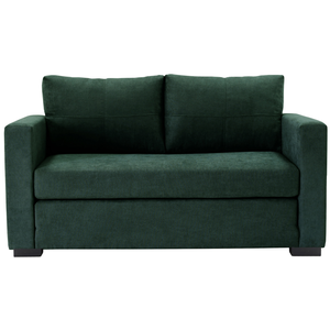 Canape droit convertible 2 places TOMMY coloris vert pas cher