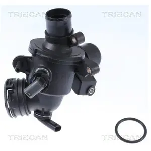 Triscan Thermostat d'eau 862034295 pas cher