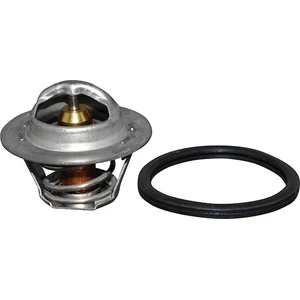 Thermostat d'eau JP GROUP JP GROUP, par ex. pour Renault, Nissan, Dacia, Opel, Lada pas cher