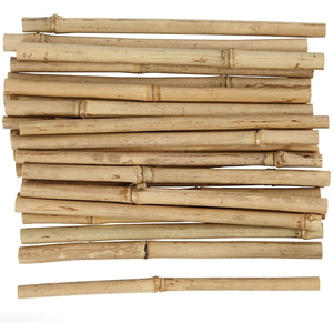 Tige bois - bambou - bois flotte - paille - rotin Creativ - 9992 - Bâton de bambou pas cher