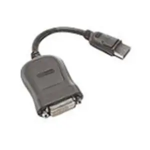 Lenovo Câble DisplayPort - liaison simple - DisplayPort (M) pour DVI-D (F) - 20 cm pas cher