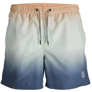 Comparateur de prix : JACK&JONES PLUS Jpstfiji Jjswim Dip Dye LY Pls Short de Bain, Nougat de pêche, 44 Homme