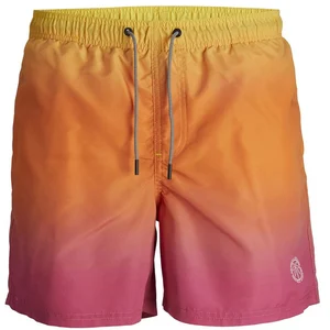 Comparateur de prix : JACK&JONES PLUS Jpstfiji Jjswim Dip Dye LY Pls Short de Bain, Haute visibilité, 44 Homme