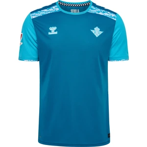 Comparateur de prix : Hummel SSV Jahn Regensburg maillot Community 2024/2025 bleu M