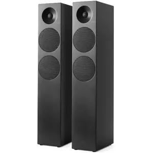 Enceinte HiFi - TANGENT - Spectrum II X6 Noir (à l'unité) TANSPE2X6BK pas cher