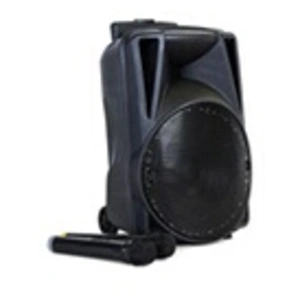 Eltax Voyager BT 10 - Enceinte de Sono Portative de 250 WattsVendu paramazon