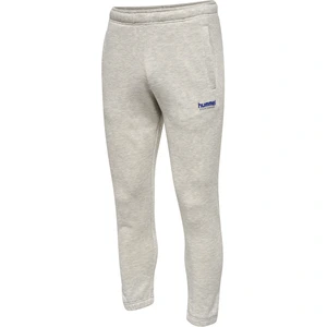 Comparateur de prix : Pantalon Hummel LGC Austin Regular gris - M