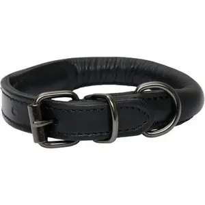 Collier pour chien cuir Catago Noir 2XS 300322501 pas cher