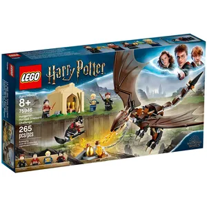 Lego Harry Potter pas cher