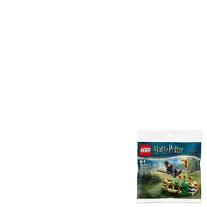 Comparateur de prix : Lego Lego Harry Potter - L'entraînement De Quidditch (Polybag) - 30651