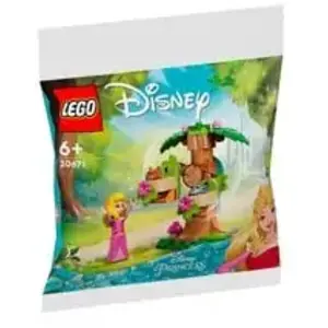 Comparateur de prix : Lego Disney - L'aire De Jeu Dans La Forêt D'aurore (Polybag) - 30671