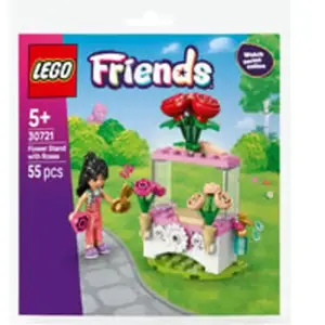 30721, Jouets de construction