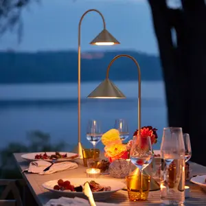 FRANDSEN Lampe sur pied LED Grasp, couleur laiton, hauteur 72 cmVendu parluminaire
