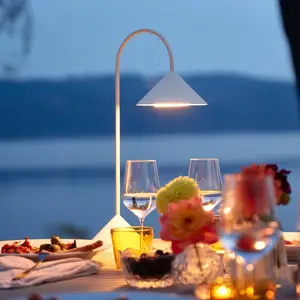 FRANDSEN lampe de table LED Grasp, blanc, hauteur 47 cm, métalVendu parluminaire