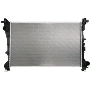 Radiateur, refroidissement du moteur 606441 Nissens 606441 pas cher