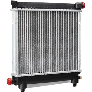 Radiateur, refroidissement moteur NISSENS 62550 pas cher