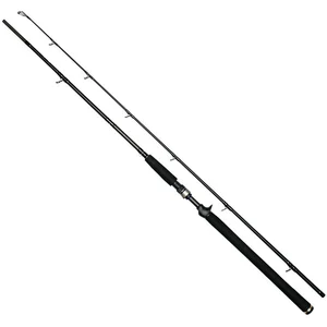 Canne casting Westin W3 Jerkbait-T 2ND : Modèle Canne - 195 XXH pas cher