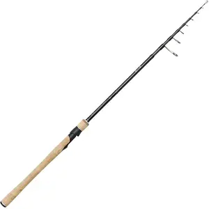 Westin Canne Spinning W2 Tele 9 Sections