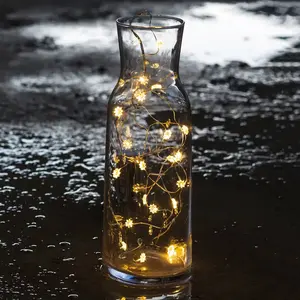 Sirius Guirlande LED claire fleurs Silke à 20 lampesVendu paramazon