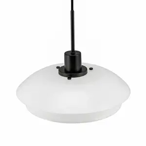 Comparateur de prix : Dyberg Larsen DL31 suspension verre noir