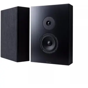 Enceintes murales Argon Audio Forus 5 Wall NoirVendu parson-video