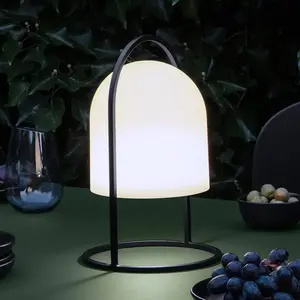 Comparateur de prix : EVA Solo Lampe solaire LED SunLight, 30 cm, IP65, intensité variable