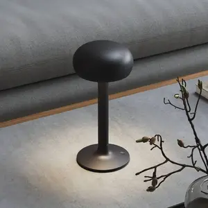 Comparateur de prix : Eva Solo Lampe à poser LED rechargeable Emendo, noir, intensité variable,