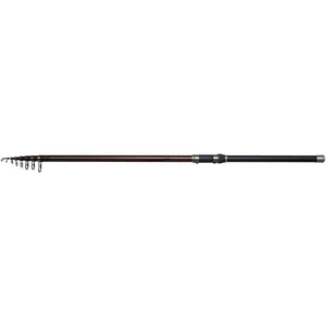 Canne à pêche DAM Backbone II STELLFISCH 6.00M 50-100G 6SEC en carboneVendu parwaveinn