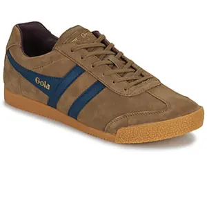 Gola Mixte Harrier Baskets, Tobacco/Navy/Burgundy, 43 EU