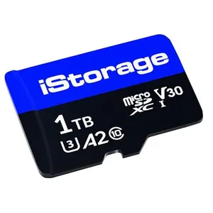 iStorage - Carte mémoire flash - 1 To - A2 / Video Class V30 / UHS-I U...