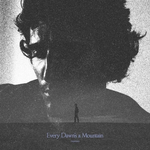 Virgin Music Every Dawn's a Mountain pas cher