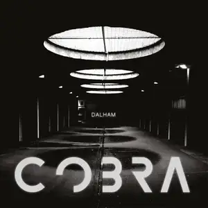 Disques vinyles populaires : Cobra pas cher