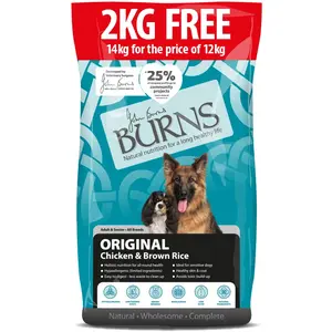 Burns Adult & Senior Original poulet, riz brun pour chien - 14 kg